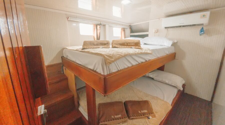 shared cabin beds
