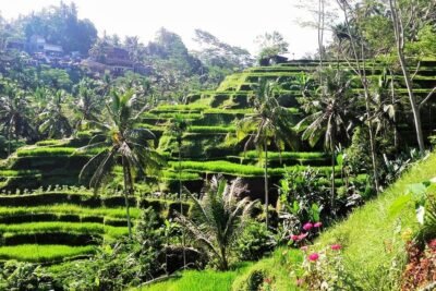 day trip magical bali