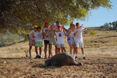 Komodovaraan in Komodo Nationaal Park Indonesië