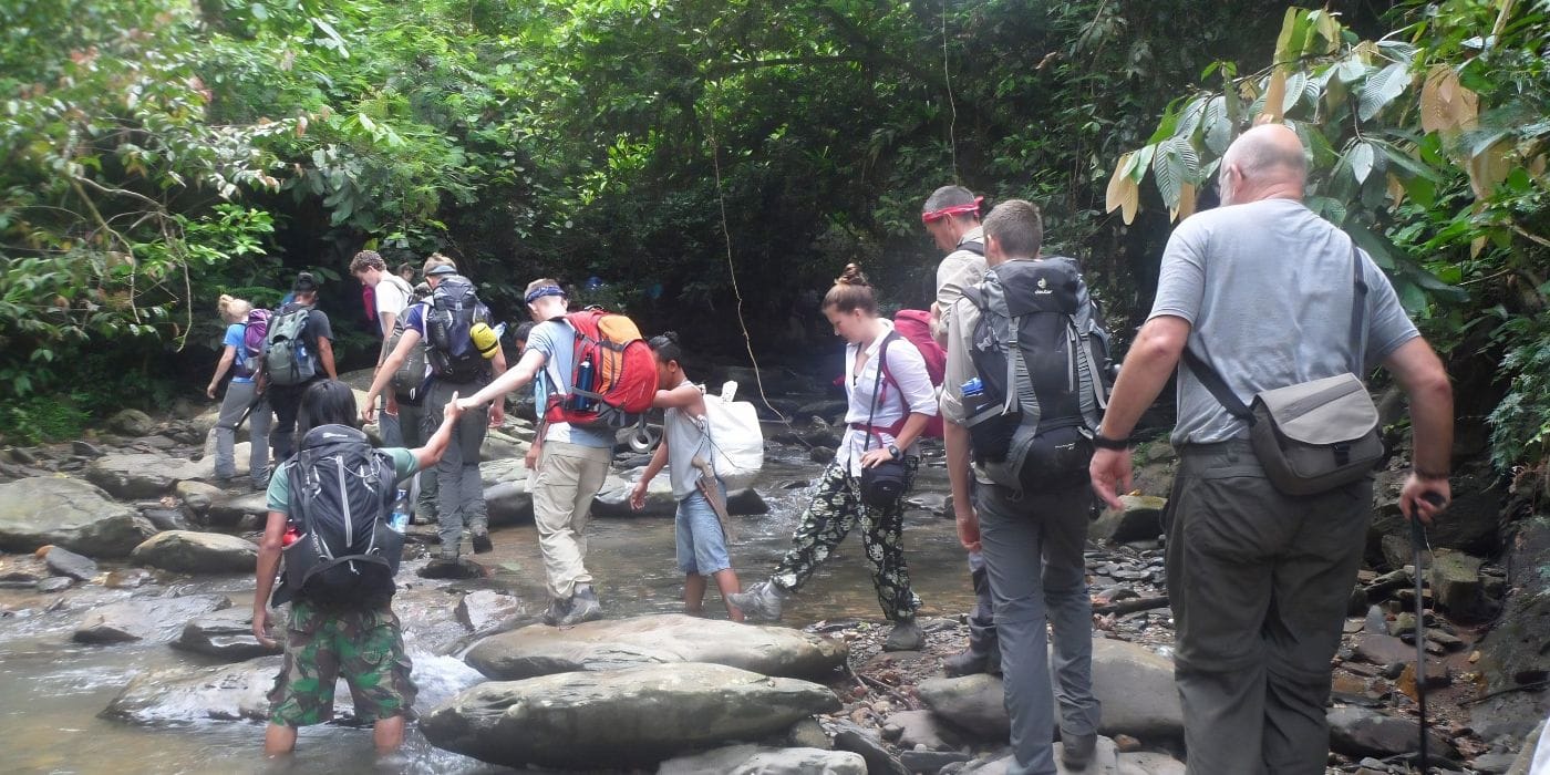 jungle trekking ujung kulon rainforest experience