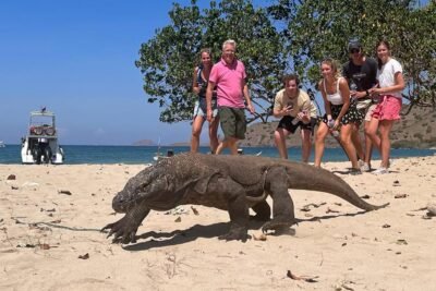 Komodo National Park