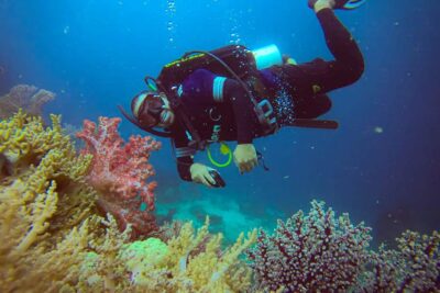 open trip diving komodo np