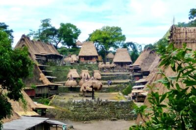 Flores traditionele dorpscultuur