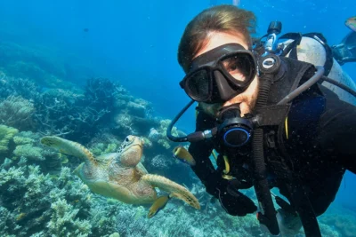 green turtle in the great barrier reef and diver