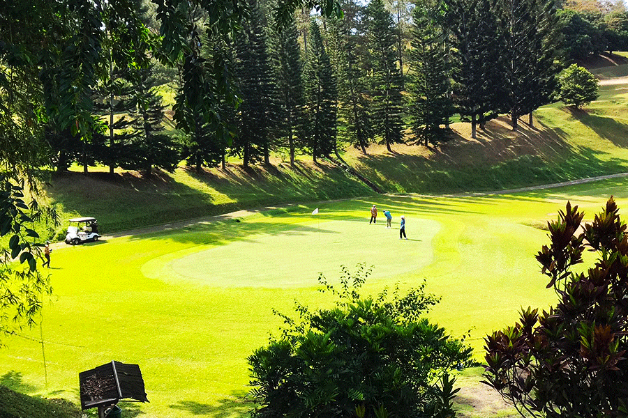 Golf-Dago