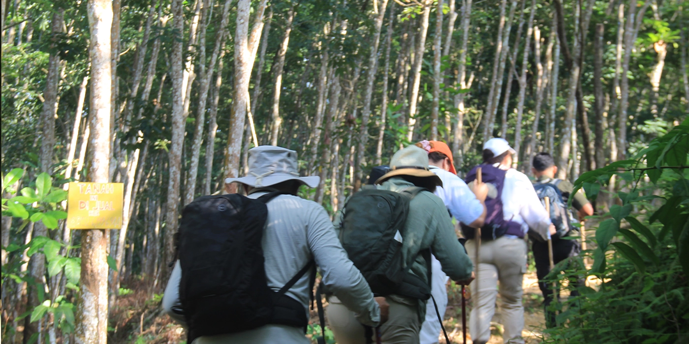 Orangutan Trekking