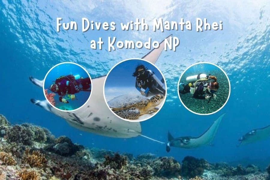 Fun Dives at Komodo NP