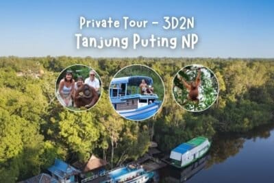 Tanjung Puting 3D/2N
