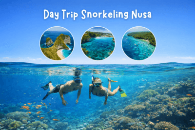 Day Trip Snorkeling Nusa