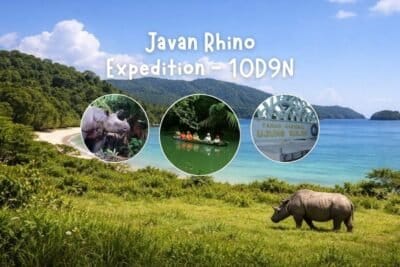 Javaanse neushoorn expeditie 10D/9N